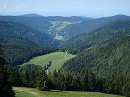 Mistflarden hangen zwaar tegen de groene heuvels. Wikiloc Picture Of Duitsland Zwarte Woud Tracknaam Hof Log 2 6