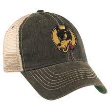 Jerry Garcia Wolf Mesh Snapback Hat Snapback Hats Hats Baseball Hats