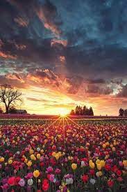 Pin By Francovargaschiroque On Beautiful Scenery Pics Beautiful Landscapes Beautiful Nature Nature Photography