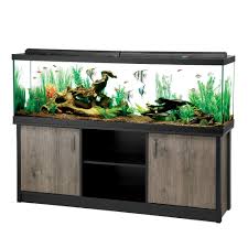 If you have a large tank, you may need multiple smaller fish tank heaters at opposite ends of your setup. 100 Gallon Fish Tank Petsmart Online
