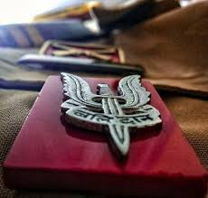 What Are The Various Badges Worn By Para Commandos Of The Indian Army Apart From Wings Quora Alia witnesses commando obstacle training podrobnee. various badges worn by para commandos