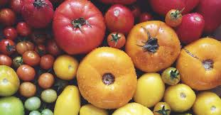 Image result for Nightshade Containing Foods