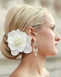 Profil de Iris Pelletier (irispelletier3)