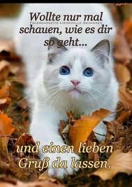 Ahnliches Foto Liebe Grusse Bilder Grusse Grusse Spruche