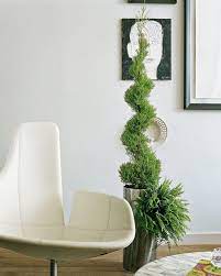 Unter wohnungen grüner baum befinden sich mehrere objekte mit bildern, texten und anbieterangaben. Die Schonsten Baume Furs Zimmer Mein Schoner Garten
