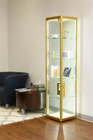 Glass showcase glass closet living room cabinets glass cabinets display display case glass showcase design diy display furniture choice. 15 5 Glass Display Case Adjustable Shelves Locking Ships Unassembled Gold Glass Cabinets Display Glass Shelves Decor Glass Showcase