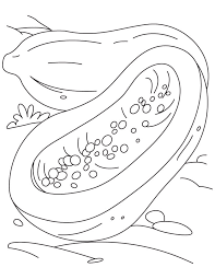 Gambar mewarnai, aneka gambar mewarnai, sketsa gambar, mewarnai pemandangan, gambar doraemon, gambar kartun, frozen, masha, dora, barbie, boboi boy. Gambar Mewarnai Buah Pepaya Untuk Anak Paud Dan Tk