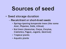 Learn the definition of 'recalcitrant seed'. Chapter 6 Sources Of Seed Sources Of Seed