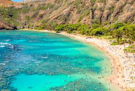 Ever fancied swimming amidst some of the world's rarest marine wildlife? Snorkeling At Hanauma Bay Nature Preserve Aqua Aston Hotels