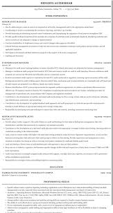senior audit manager resume sample