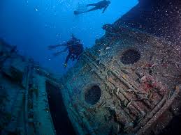 Dive Sites And Wreck Dives In Miami Beach Fl