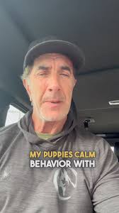 Eileen's Country Pet Grooming