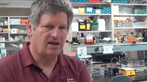 Thanks for picking another "winner", ALSA- YOU SUCK. Notice what BECKMAN  SAYS:Cheap. Easy. Under $100K per year. And we know it's safe. WHY wait?