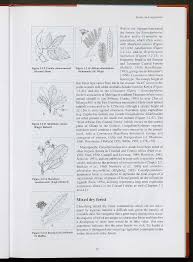 Image result for Craibia zimmermannii