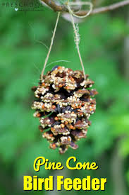 how to make pine cone bird feeders with