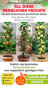 Meinkleinerbaum Startseite In 2020 Kleine Baume Saulenbaum Kleine Garten