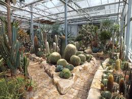 David beaulieu is a garden writer with nearly 20 years experience writing about landscaping and over 10 years experience working in nurseries. Kakteen Shop