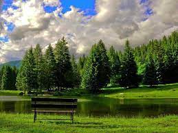 Peaceful Place To Sit Relaxing Images Relaxing Pictures Green Wallpaper