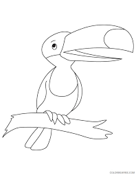 Cute toucan bird cartoon stock vector. Toucan Coloring Pages Animal Printable Sheets Cute Cartoon Toucan 2021 4815 Coloring4free Coloring4free Com