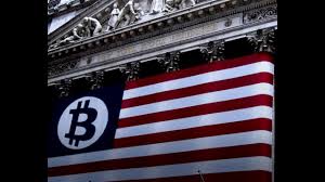 It's a price index that tracks the price of bitcoin. New York Stock Exchange Ice Launches Data For 57 Altcoins Youtube