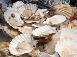 Frozen, often iqf (individually quick frozen) scallops are almost always wet. What S The Difference Wet Dry And Diver Scallops Kitchn