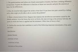 Video demonstrations, progressions, research review, assessment considerations for a complete review of origin, insertion, innervation, action, integrated function, arthrokinematics , motor behavior, subsystem involvement, and trigger. Solved 1 The Gastrocnemius And Soleus Are Closely Associ Chegg Com