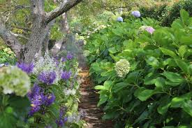 A garden fence is a practical way to keep critters away and gives structure to a yard or garden. 11 Garden Ideas To Steal From South Africa Gardenista