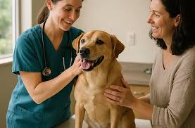 Early Disease Detection 101: A Beginner's Guide to Keeping Your Pet Healthy  Longer - Brawley Animal Hospital