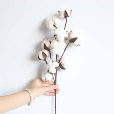 Maybe you would like to learn more about one of these? 10 Heads Gossypium Fake Artificial Flowers Natural Petals Dried Flower Cotton Branch Stem Christmas Gift Walmart Com Cotton Branches Farmhouse Artificial Flowers Dried Flowers