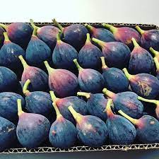 كل شيئ عن التين الفاكهة المقدسة و700 صنفا من المحصول صور agri2day اجري توداي