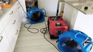 The base cabinets were ruined and the hoa master policy insurance will only pay How To Dry Out Kitchen Cabinets Home Tips For Women