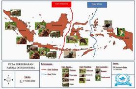 Fauna asiatis burung beo badak harimau tapir macan tutul 2. Persebaran Fauna Di Indonesia Asiatis Australis Peralihan