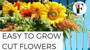 Check spelling or type a new query. Easy To Grow Cut Flowers For First Cut Flower Garden Growing Flowers From Seed Youtube