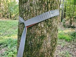 Tie a spike hitch in the strap's loose end a few inches away from where the loop is. 5 Best Hammock Tree Straps In 2021 99boulders