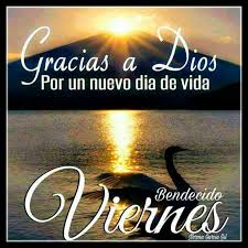 Bajo tal coyuntura, te presentamos frases inspiradoras, bonitas y salutaciones de feliz aniversario de boda. Feliz Viernes Frases Y Mensajes Para Saludar 2020