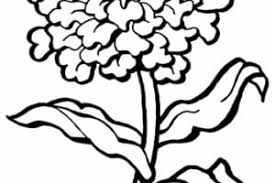 Flores para dibujar faciles y bonitas a color. Dibujosfaciles Es Dibujos De Flores Faciles De Colorear