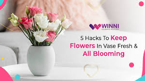 Check spelling or type a new query. 5 Hacks To Keep Flowers In Vase Fresh All Blooming Winni Celebrate Relations