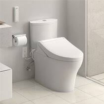 Toto g400 washlet with integrated toilet. Bidets On Sale You Ll Love In 2021 Wayfair