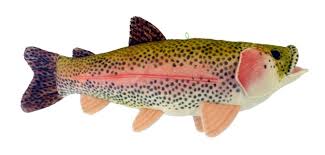 Maybe you would like to learn more about one of these? Adore 16 Sierra Rainbow Trout Plush Stuffed Animal Walltoy Wall Mount Buy Online In Angola At Angola Desertcart Com Productid 14205675
