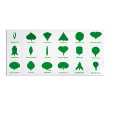Botany Cabinet Control Chart With Learning Toys Montessori Materials Set