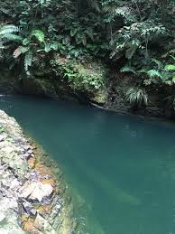 Lo dicono anche gli ospiti: The Peak Picture Of Ayer Hitam Forest Reserve Puchong Tripadvisor