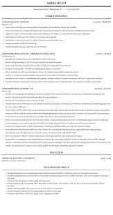 Timelines, horizontal bars, and neutral color accents bring a sense of order to the layout. Chief Operating Officer Resume Sample Mintresume