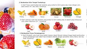 We did not find results for: Pengolahan Bahan Pangan Hasil Samping Buah Menjadi Produk Pangan Masnurul
