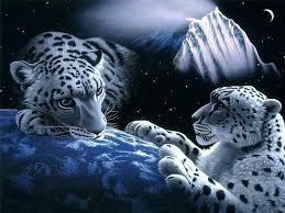 I've created the 3d screen savers in college from my passion for 3d graphics and based on the 3d engine that i've developed back then. Free 3d Moving Screensavers Snow Leopard In Space 2132383 Hd Wallpaper Backgrounds Download