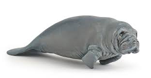 Where do manatees live in the world? Papo Meereswelt Papo Manati 56043