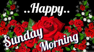 Beautiful 85+ good morning images in hindi. Good Morning Quotes In Hindi For Sunday Good Morning Video Happy Sunday Video Beautiful Whatsapp Status Dogtrainingobedienceschool Com