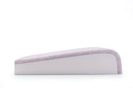 Image result for Orthopichonia