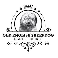 Maybe you would like to learn more about one of these? Colorado Springs Co Animal Shelters Rescues Chewy Com