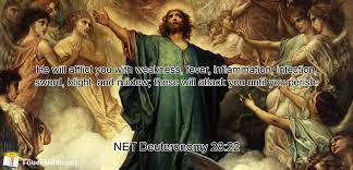 Bible Verse Image Browser