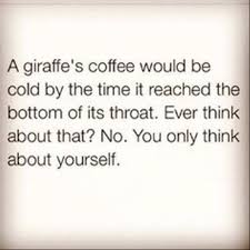 Top 22 Funny Quotes Of The Week Funny Quotes Funny Quotes